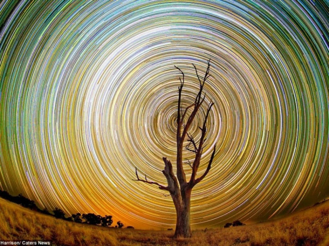 Έκανε 15 ώρες υπομονή και έβγαλε αυτές τις εκπληκτικές φωτογραφίες!