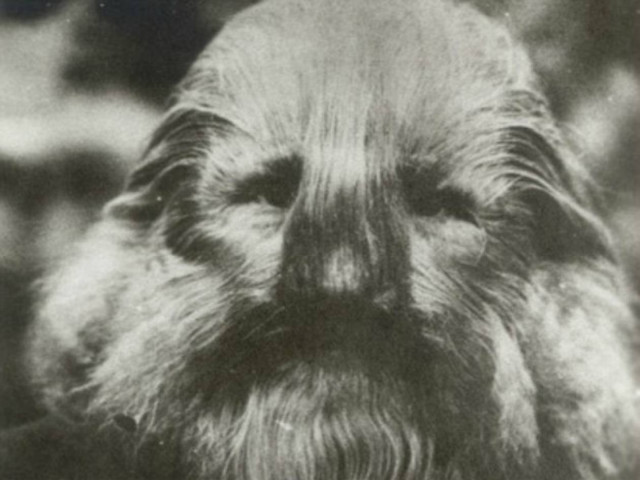 Τα τέρατα του τσίρκου: Ιστορικές φώτο ανθρώπων με γενετικές ανωμαλίες