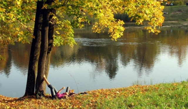 Στην Ισπανία ανακάλυψαν σε ανασκαφές ένα αρχαίο τόξο