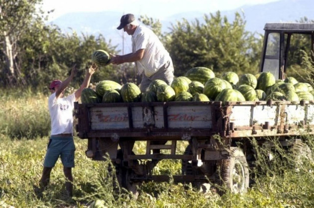 Πέλλα: Τον πάτησε με... την όπισθεν