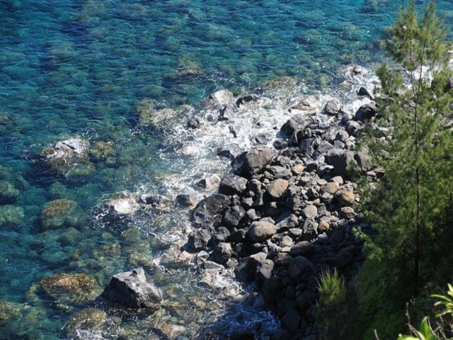 Σοκ: Πτώμα στη Σαλαμίνα