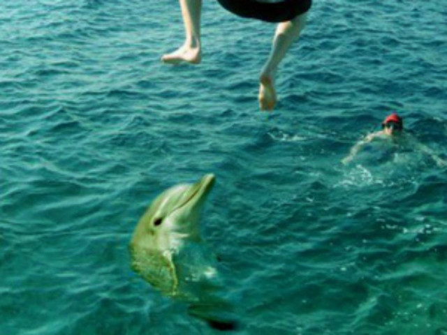 Τους συνέλαβε ο φακός να πηδάνε! (pics)