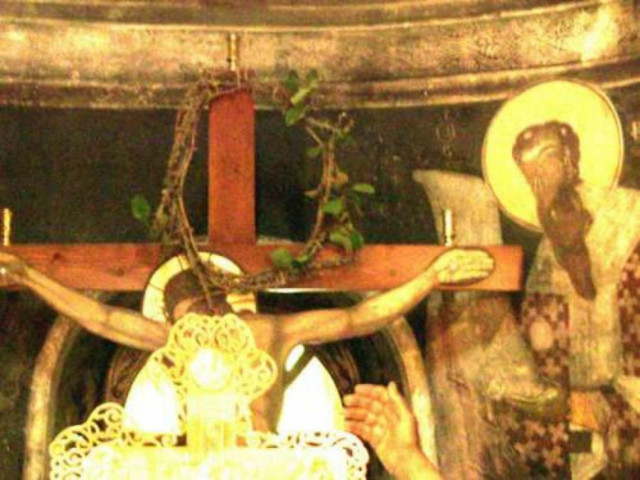 Άνθισε το ακάνθινο στεφάνι του Εσταυρωμένου Ιησού