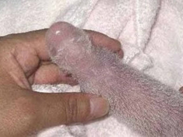 Σοκαριστικό: Έχετε δει ποτέ σας κάτι τέτοιo;