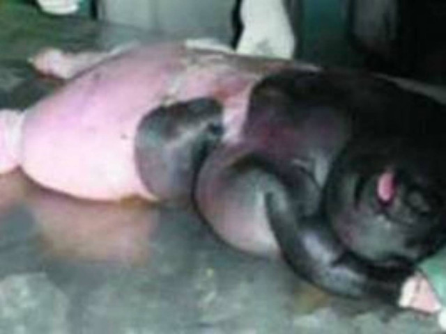 ΣΟΚ: Αυτό το πλάσμα γεννήθηκε από προβατίνα και άνθρωπο! (pic)