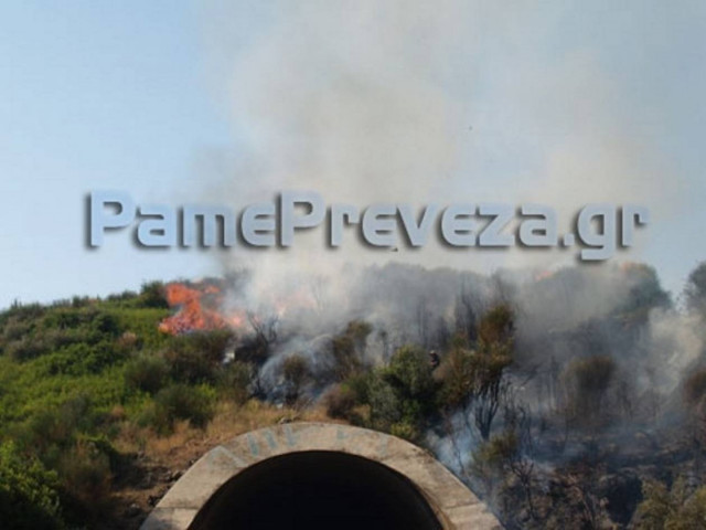 Πυρκαγιά στην Πρέβεζα – Τραυματίστηκε Υποπυραγός (ΒΙΝΤΕΟ – ΦΩΤΟ)