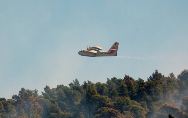 Σε ύφεση η πυρκαγιά στη Σκόπελο