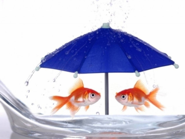 Τα ανέκδοτα των ζωδίων