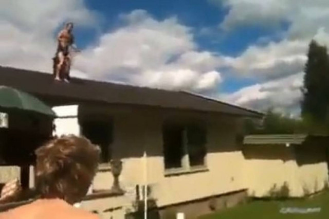 Βίντεο: Βουτιά από ψηλά σε… φουσκωτή πισίνα