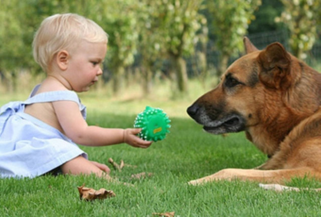 Υγιέστερα τα μωρά που μεγαλώνουν σε σπίτι με σκύλο