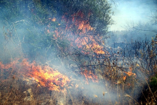 Πυρκαγιά στην Αμυγδαλίτσα Μεσσηνίας