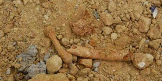 Ανθρώπινο κρανίο και οστά στην Αιδηψό