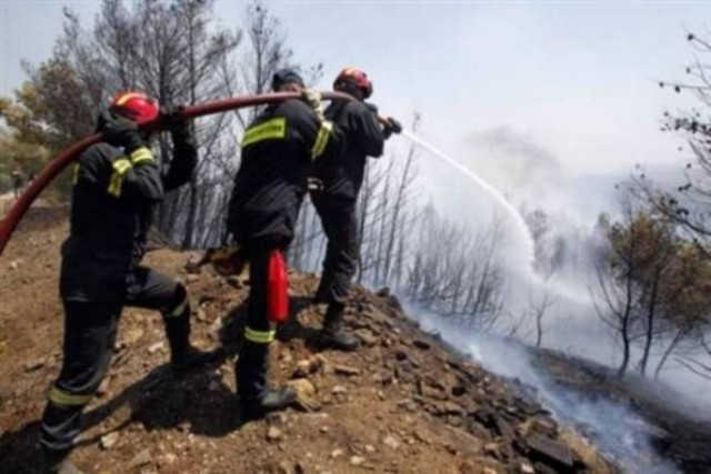 Υπό μερικό έλεγχο η πυρκαγιά στον Δομοκό