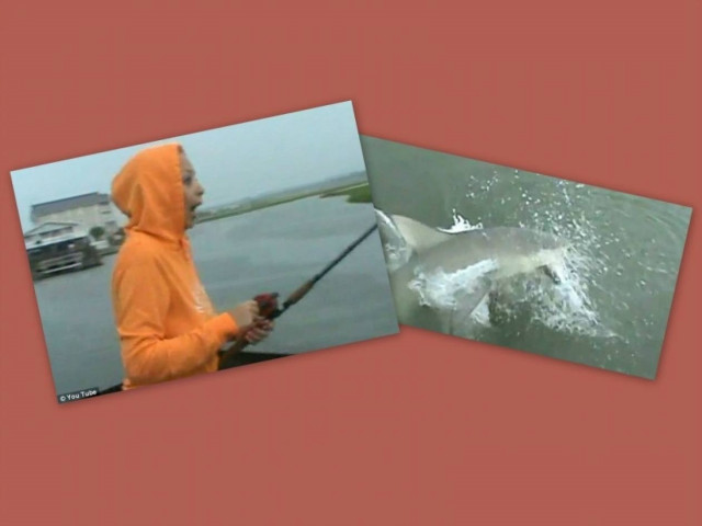 Απίστευτο βίντεο: Ψάρευε και έπιασε στο καλάμι της καρχαρία!