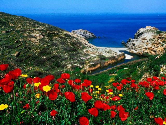 Στην Ικαρία το ελιξίριο της μακροζωίας