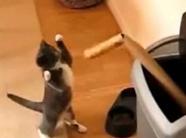 Προπονείται σαν τον... Τάϊσον (vid)