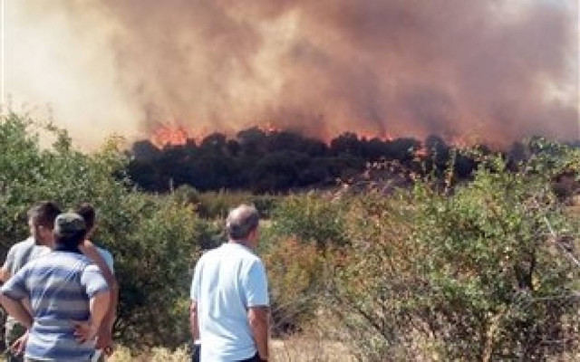 Σε ύφεση η φωτιά στη Ριτσώνα