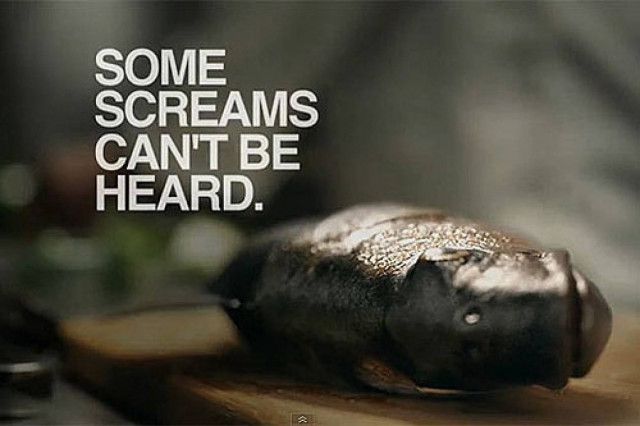 Βίντεο: Η βουβή κραυγή των ζώων