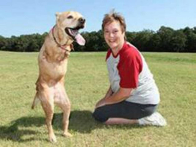 Το λαμπραντόρ που δίνει μάθημα... πίστης!