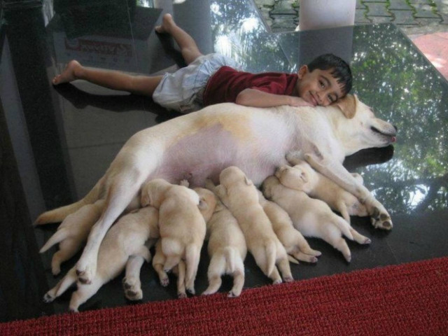 Η τρυφερή φιλία ενός αγοριού με το σκύλο του (pic)