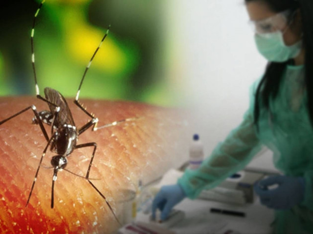 Το πρώτο θύμα στην Ελλάδα από τον ιό του Δυτικού Νείλου