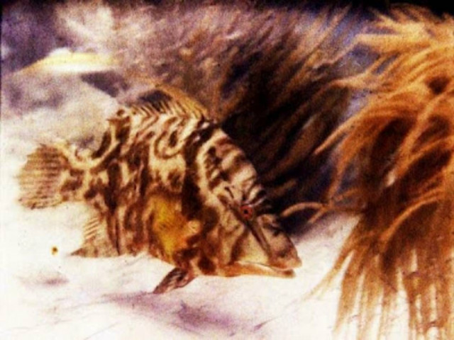 Η πρώτη έγχρωμη υποβρύχια φωτογραφία