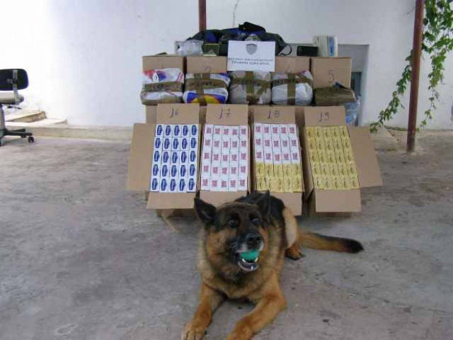 Σπείρα που διακινούσε ναρκωτικά και λαθραία τσιγάρα εξάρθρωσε το Λ.Σ.