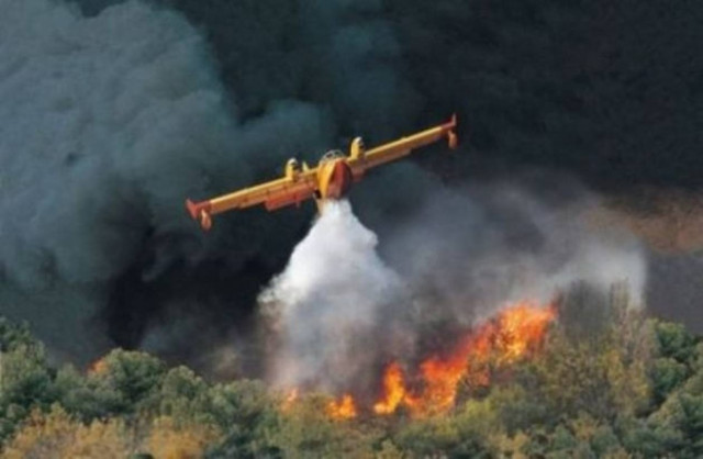 Σε εξέλιξη πυρκαγιά στην Ιστιαία