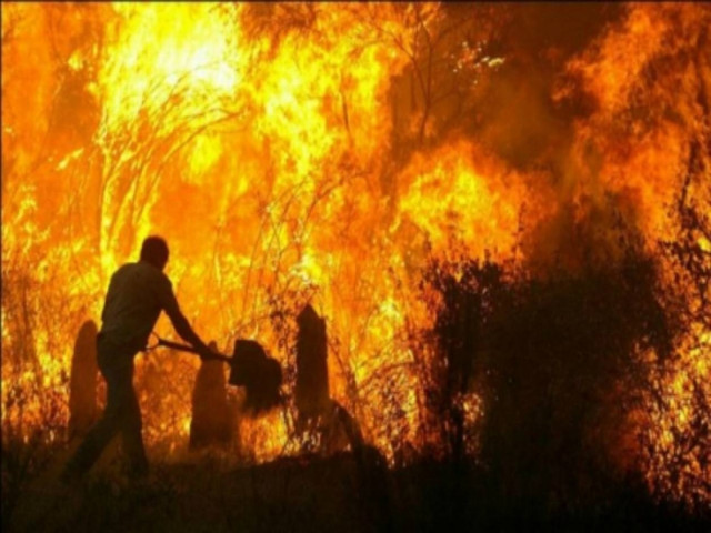 Πορτογαλία: 200,000 στρέμματα κάηκαν σε πυρκαγιά