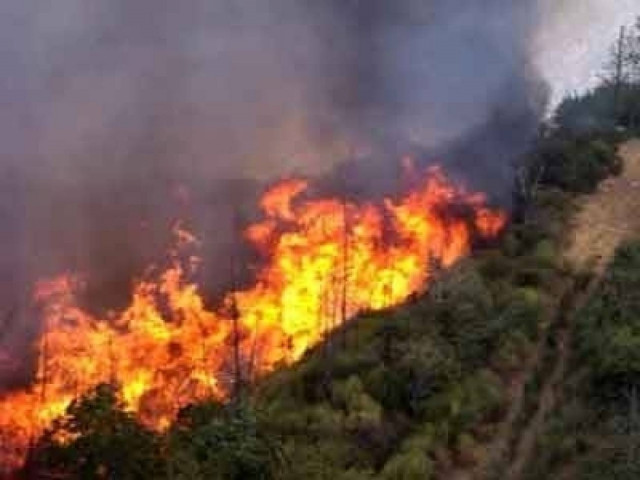 Φωτιά στη Σαλαμίνα