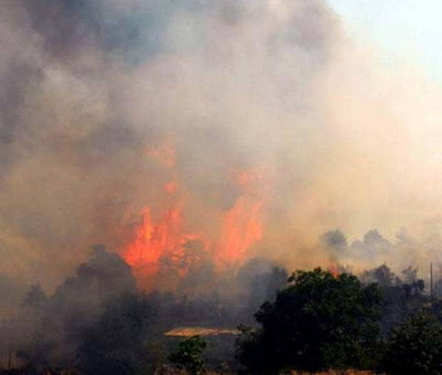 Πυρκαγιά σε δάσος στη Λακωνία