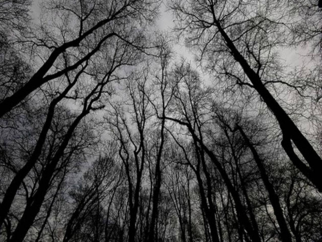 5 ανατριχιαστικά μυστήρια που δεν έχετε ξανακούσει