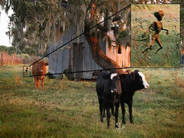 Μυθικά πλάσματα και που θα τα βρείτε - εάν βέβαια υπάρχουν