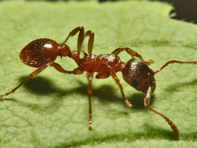 10 παράξενα στατιστικά από αιτίες θανάτου που θα σας εκπλήξουν