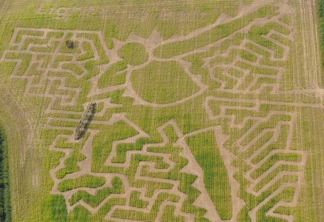 Ολυμπιακοί Αγώνες 2012: Ο Γιουσέιν Μπολτ έγινε «αγρογλυφικό»