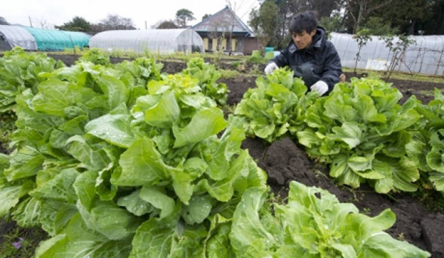 Οι αγρότες της Ισπανίας μοίρασαν δωρεάν τα προϊόντά τους