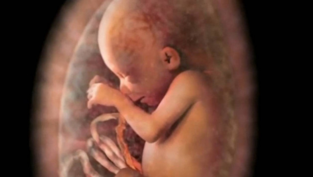 ΒΙΝΤΕΟ: Το θαύμα της ζωής μέσα σε εννέα λεπτά!