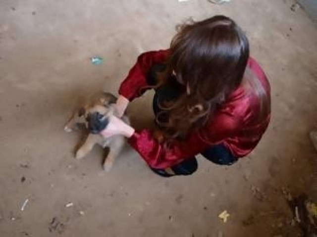 ΣΟΚ: Μοντέλο σκοτώνει κουτάβι σε φωτογραφική επίδειξη!