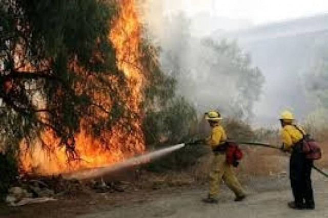 Υπό μερικό έλεγχο η φωτιά στην Χαλκιδική
