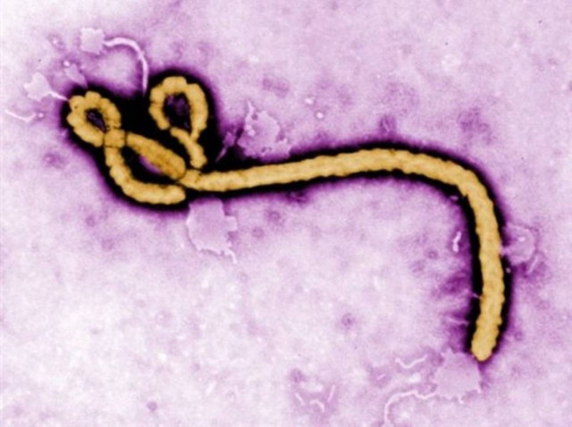 Ουγκάντα: Ένας νεκρός από τον ιό της Έμπολα