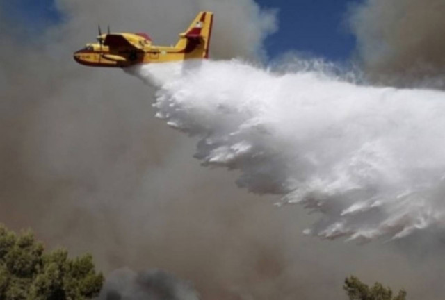 Υπό έλεγχο μεγάλη πυρκαγιά στη νότια Βουλγαρία
