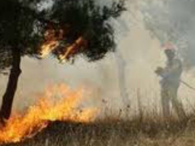 Πυρκαγιά σε εξέλιξη στη Ρόδο