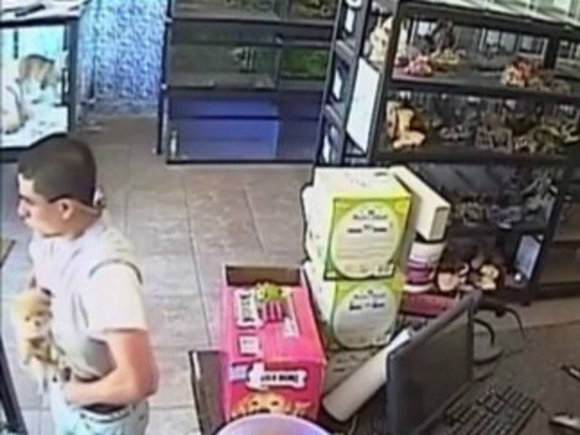 Βίντεο: Η πιο απίστευτη ληστεία που έχει καταγραφεί ποτέ!