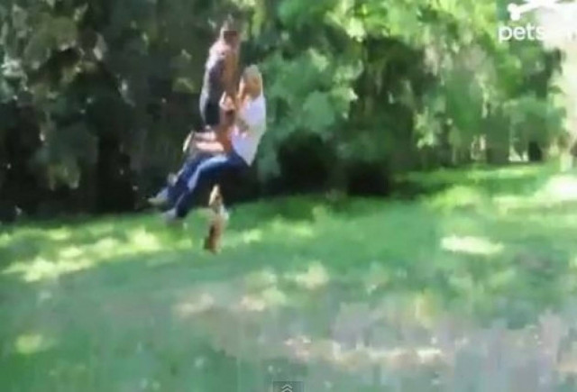 Videο: Ο σκύλος που του αρέσει να αιωρείται
