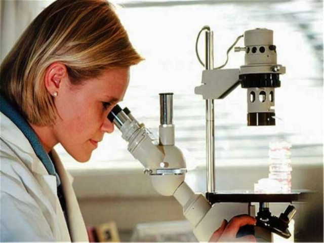 Γαλλία: Ανακάλυψαν σκελετό εντόμου ηλικίας 365 εκατ. ετών