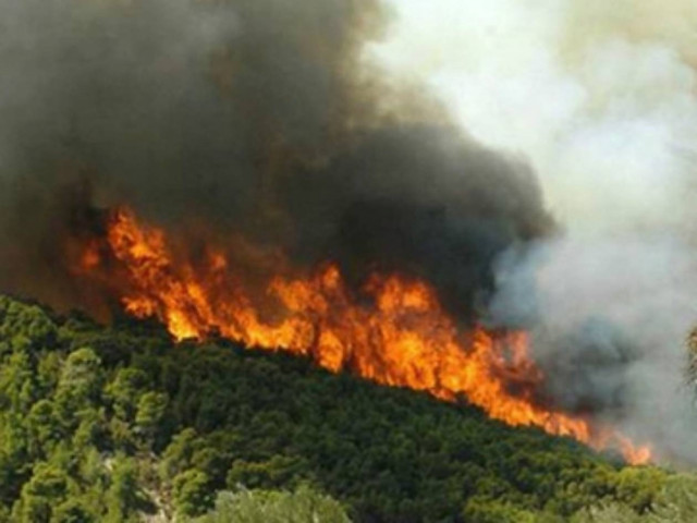 Υπό πλήρη έλεγχο η πυρκαγιά στη Φλώρινα