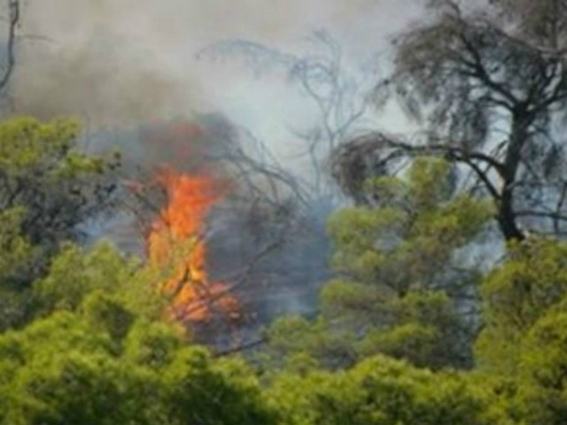 Κρήτη: Συνελήφθη νεαρός για εμπρησμό
