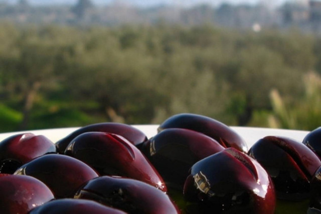 Απίστευτα βότανα που έχετε όλοι στο σπίτι σας και δεν το φαντάζεστε!