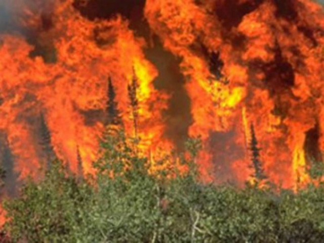Τώρα: Φωτιά στη Χαλκιδική