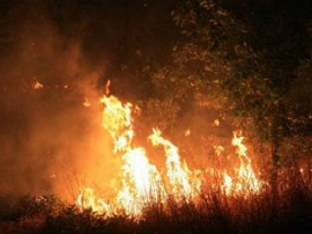 Ιεράπετρα: Σε εξέλιξη η μεγάλη πυρκαγιά